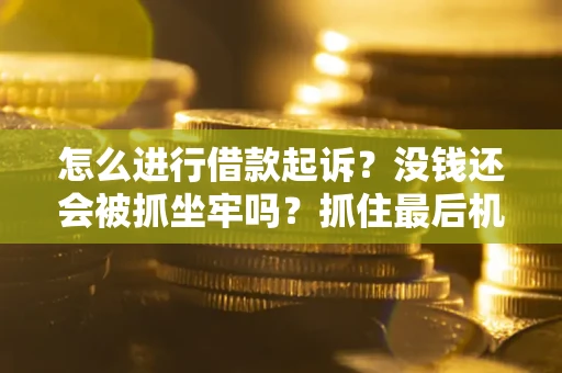北京怎么进行借款起诉？没钱还会被抓坐牢吗？抓住最后机会！