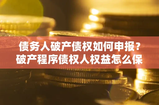 北京债务人破产债权如何申报？破产程序债权人权益怎么保障？