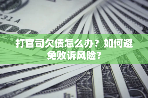 北京打官司欠债怎么办？如何避免败诉风险？