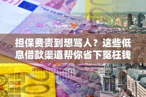 北京担保费贵到想骂人？这些低息借款渠道帮你省下冤枉钱