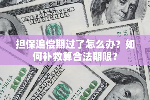 北京担保追偿期过了怎么办？如何补救算合法期限？