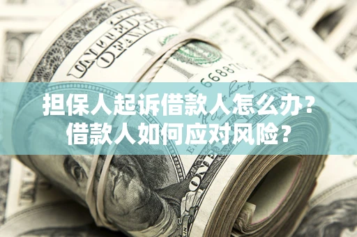 北京担保人起诉借款人怎么办？借款人如何应对风险？