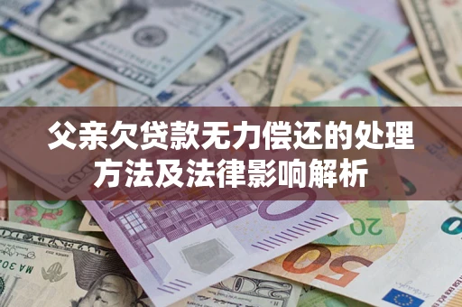 北京父亲欠贷款无力偿还的处理方法及法律影响解析